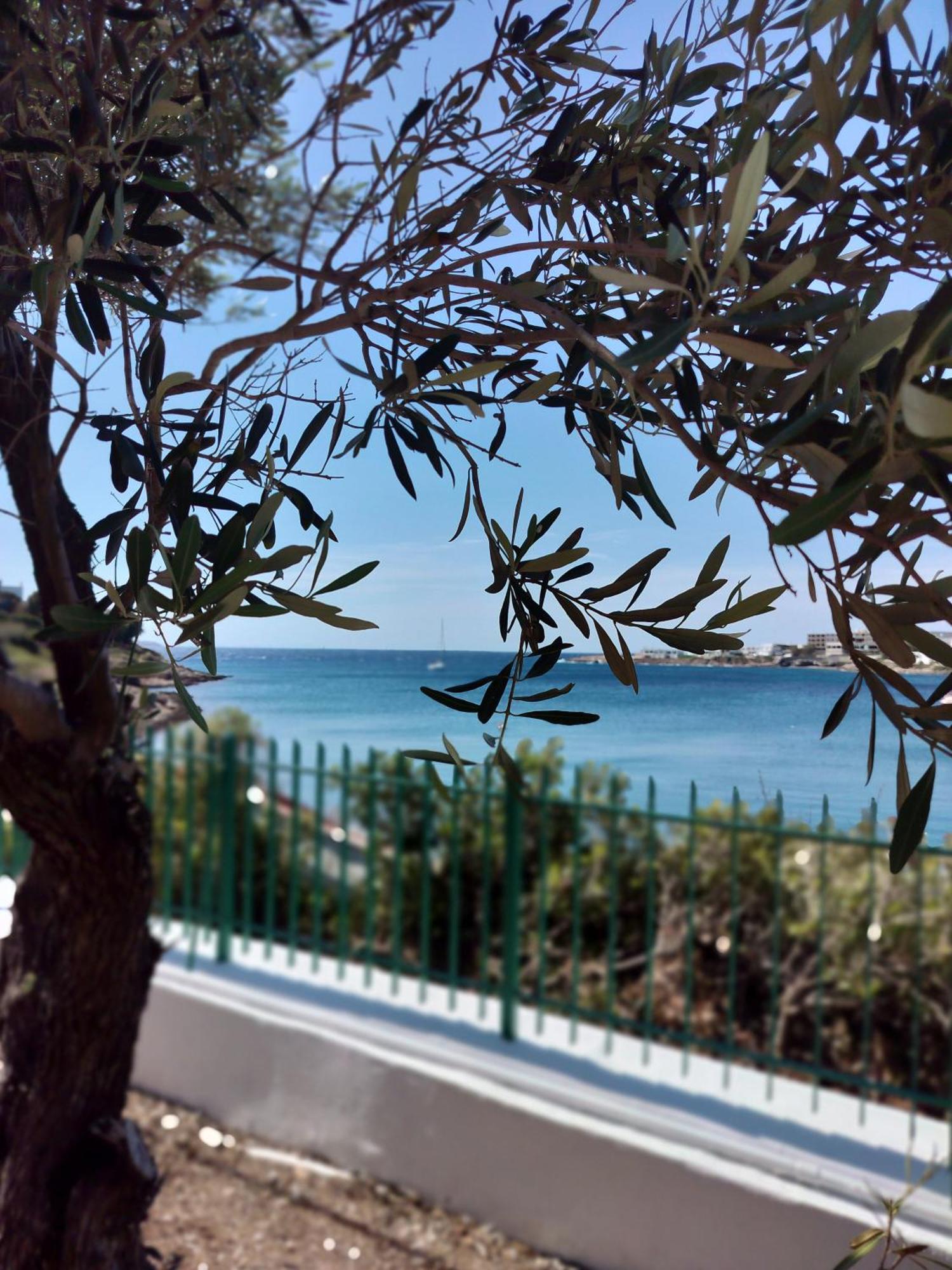 Cap Sounion Seafront Apartments -Adults Only Exterior photo