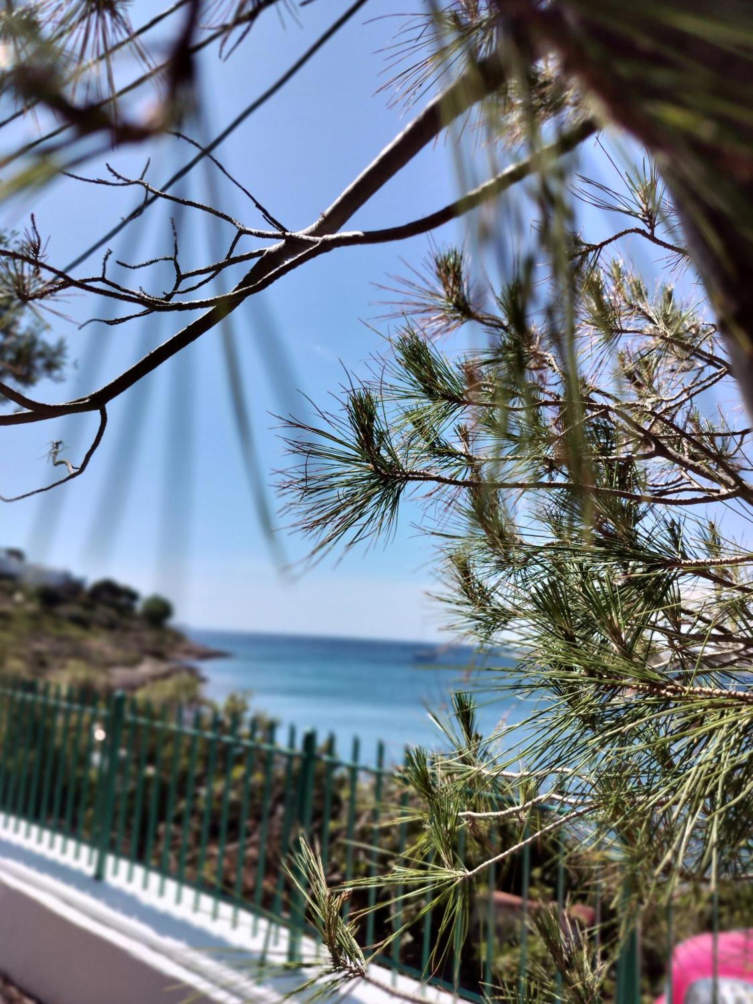 Cap Sounion Seafront Apartments -Adults Only Exterior photo